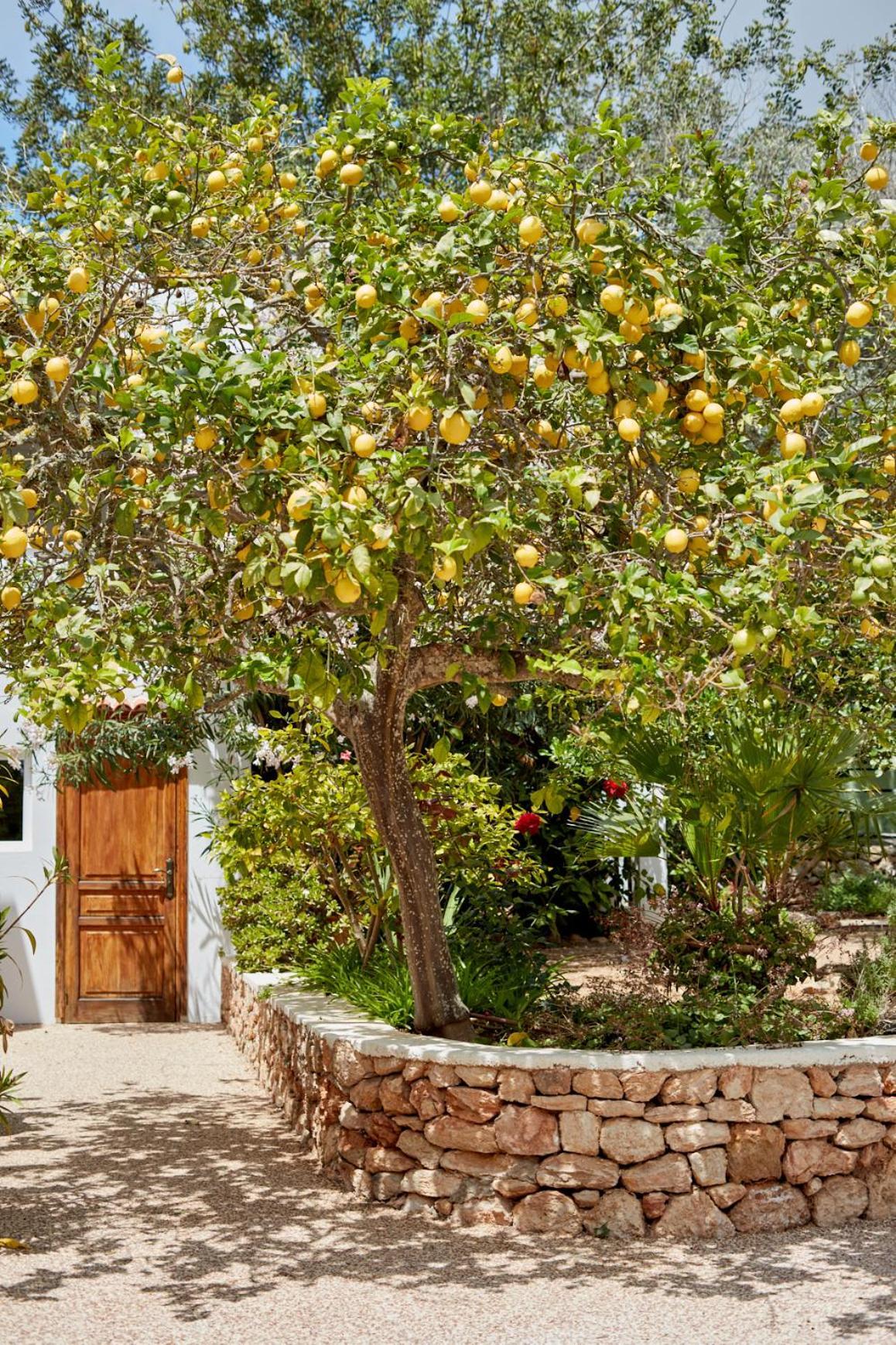Valley Club Ibiza - Boutique Agroturismo Sant Joan De Labritja Luaran gambar