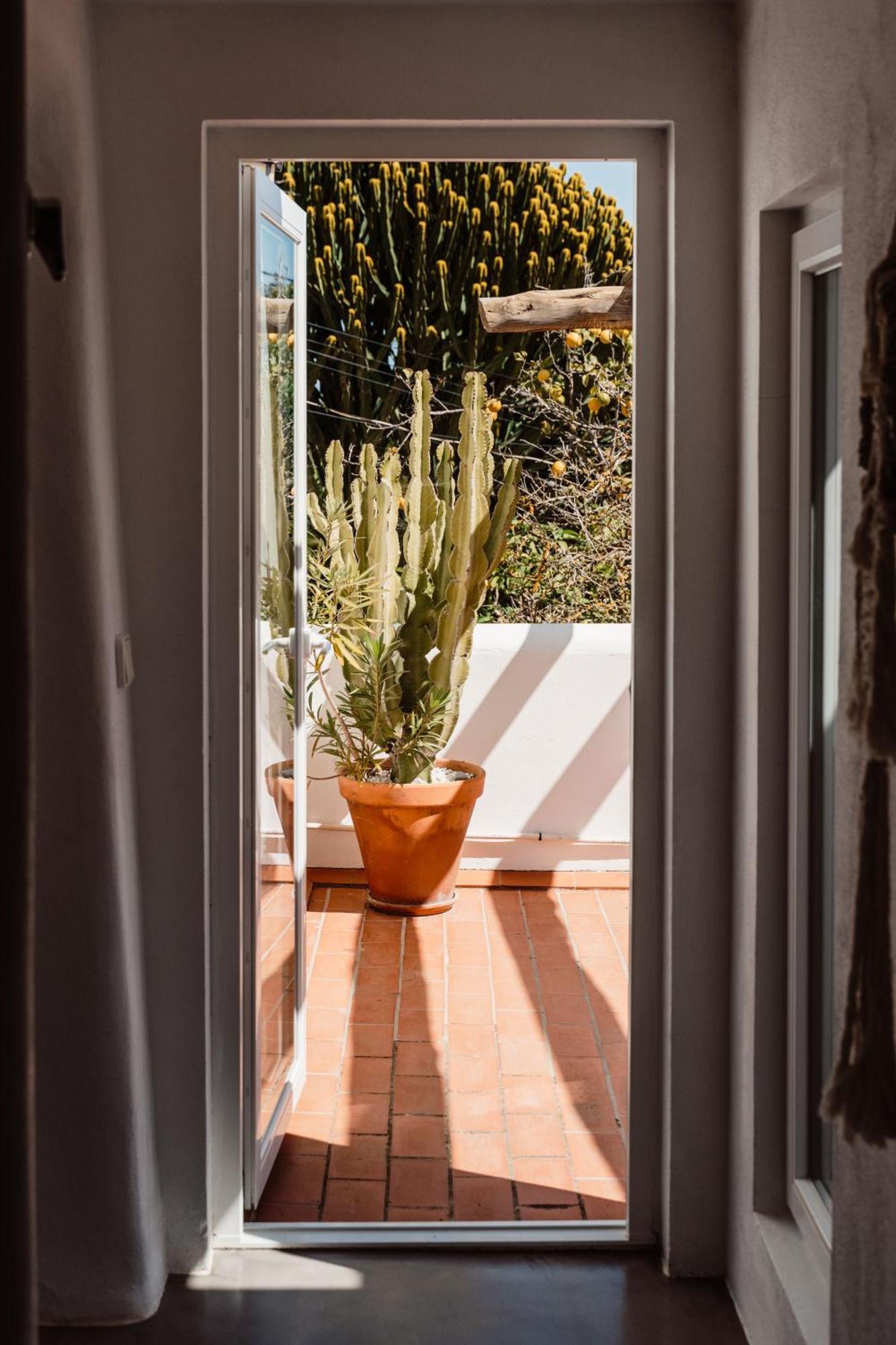 Valley Club Ibiza - Boutique Agroturismo Sant Joan De Labritja Bilik gambar